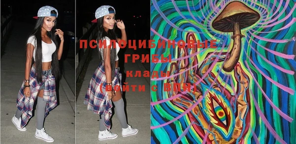 марки lsd Абаза