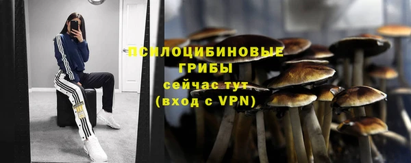 Альфа ПВП Абдулино